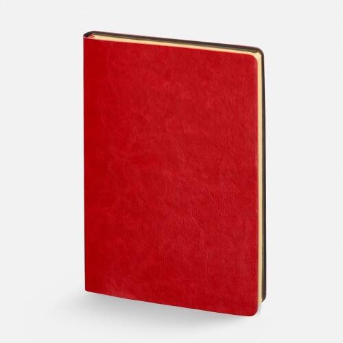 Набор Nebraska Flex, красный с золотистым 20128.50