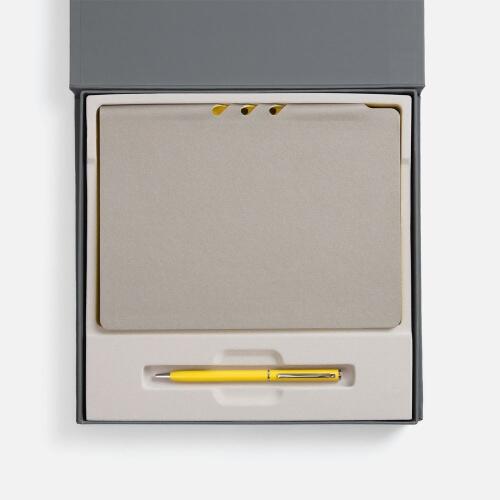 Набор Flexpen Grey, желтый 22421.18